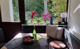 Gästewohnung Detmerode